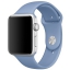 Спортивный ремешок лазурного цвета для Apple Watch 42 мм, размеры S/M и M/L (MPUV2ZM/A)