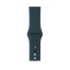 Спортивный ремешок цвета «тёмная бирюза» для Apple Watch 38 мм, размеры S/M и M/L (MQUU2ZM/A) купить