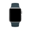 Спортивный ремешок цвета «тёмная бирюза» для Apple Watch 38 мм, размеры S/M и M/L (MQUU2ZM/A) цена