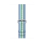 Ремешок из плетёного нейлона цвета «синяя полоска», сетчатый узор для Apple Watch 42 мм (MRHG2ZM/A) цена