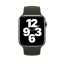 Монобраслет цвета «кипрский зелёный» для Apple Watch 38/40 мм (MYPU2ZM/A) цена
