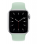 Силиконовый ремешок CTI для Apple Watch 42/44 мм (Берилл) цена
