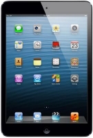 iPad Mini 32 Gb Wi-Fi black