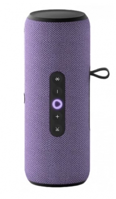 Умная портативная колонка Яндекс Станция Стрит с Алисой, 30Вт, фиолетовый