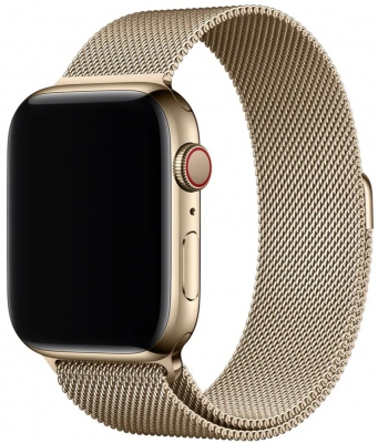 Сетчатый браслет CTI для Apple Watch 38/40/41 мм (ретро золотой)