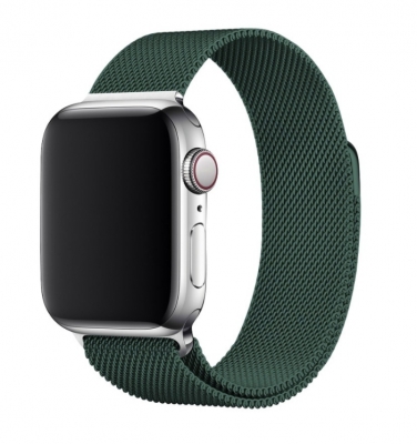 Сетчатый браслет CTI для Apple Watch 38/40 мм (темно-зеленый)