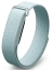 Фитнес-браслет Google Fitbit Air Fog, туманный цена