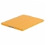 Jison Case iPad 3/4 оранжевый купить