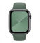 Силиконовый ремешок CTI для Apple Watch 42/44 мм (Зеленая сосна) цена