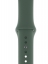 Силиконовый ремешок CTI для Apple Watch 42/44 мм (Зеленая сосна) Екатеринбург