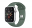 Силиконовый ремешок CTI для Apple Watch 42/44 мм (Зеленая сосна) цена