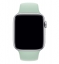Силиконовый ремешок CTI для Apple Watch 44/45/46/49 мм (Берилл) Екатеринбург