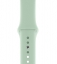 Силиконовый ремешок CTI для Apple Watch 44/45/46/49 мм (Берилл) цена