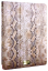 Чехол эко-кожа Just Cavalli Python JCIPAD2S3PYTHON1 для Apple iPad 2/iPad 3 песочный