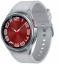 Часы Samsung Galaxy Watch6 Classic 43мм, серебро (SM-R950)