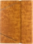 Чехол-книжка Uniq Gardesuit Transforma для iPad Air 2 (коричневый)