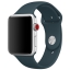 Спортивный ремешок цвета «тёмная бирюза» для Apple Watch 42 мм, размеры S/M и M/L (MQUX2ZM/A)