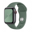 Силиконовый ремешок CTI для Apple Watch 42/44 мм (Зеленая сосна)