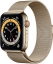 Apple Watch Series 6 Cellular, 40 мм, корпус из нержавеющей стали золотого цвета, миланский сетчатый браслет золотого цвета (M02X3)