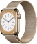 Apple Watch Series 8 Cellular, 45 мм, корпус из нержавеющей стали золотого цвета, миланский сетчатый браслет золотого цвета (ML763)