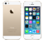 Apple iPhone 5s 32GB Gold РСТ