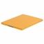 Jison Case iPad 3/4 оранжевый цена