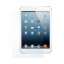 iPad Mini Screen Protector Steinheil Series Ultra Oplics цена