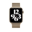 Миланский сетчатый браслет золотого цвета для Apple Watch 38/40/41 мм v.2 (ML733AM/A) цена