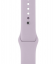 Силиконовый ремешок CTI для Apple Watch 42/44 мм (Лавандовый) купить