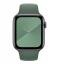 Силиконовый ремешок CTI для Apple Watch 42/44 мм (Зеленая сосна) купить