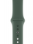 Силиконовый ремешок CTI для Apple Watch 42/44 мм (Зеленая сосна) цена