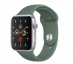 Силиконовый ремешок CTI для Apple Watch 42/44 мм (Зеленая сосна) Екатеринбург