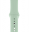 Силиконовый ремешок CTI для Apple Watch 42/44 мм (Берилл) 